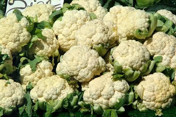 cauliflower-20060407-02